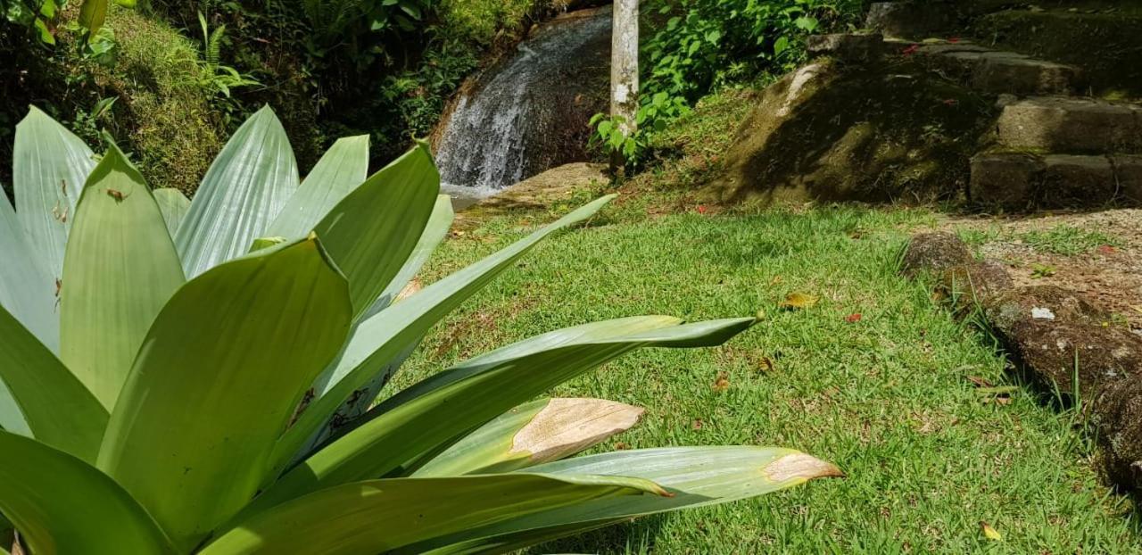 Pousada Vertente Das Aguas Lumiar Exterior foto